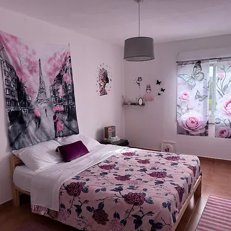 Traditional House 度假居