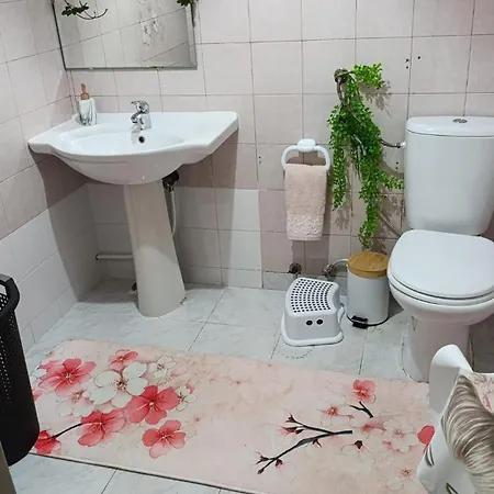 Traditional House * 佩尼契